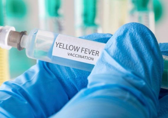 What to Expect from a Yellow Fever Vaccine
